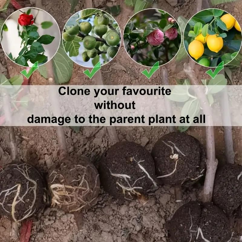 Reusable Plant Root Growth Balls with Locks (Pack of 5)